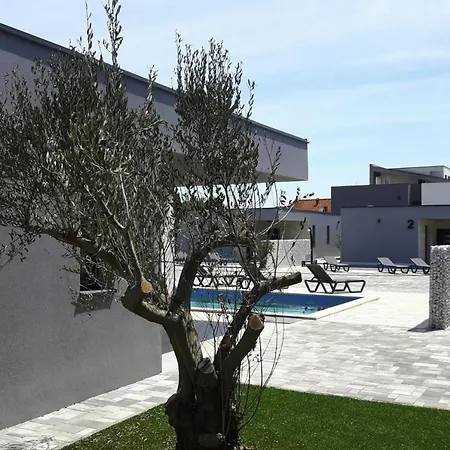 In With Pool * Vir